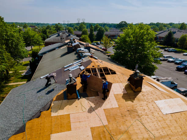 Trusted Storm Damage Roof Repair service in Columbia, NC - Brentwood Metal Roofing